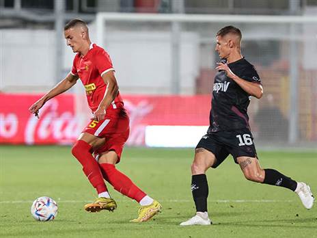 עובר לאוסטריה (לירון מולדובן)