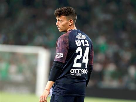 שביעות רצון מצירופו. בדש (אלן שיבר)