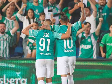 תנו להם לרוץ (אלן שיבר)