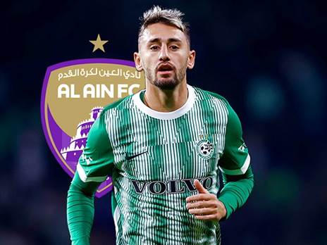 מסגול לירוק? (אלן שיבר)