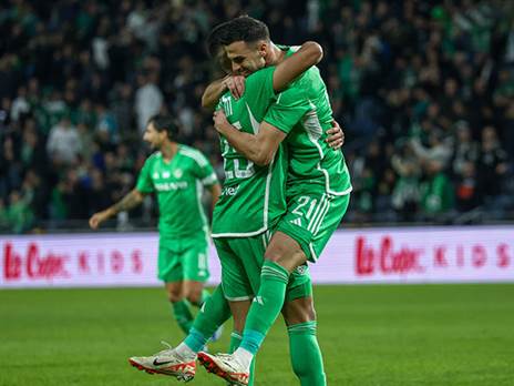 הירוקים חגגו (דני מרון)