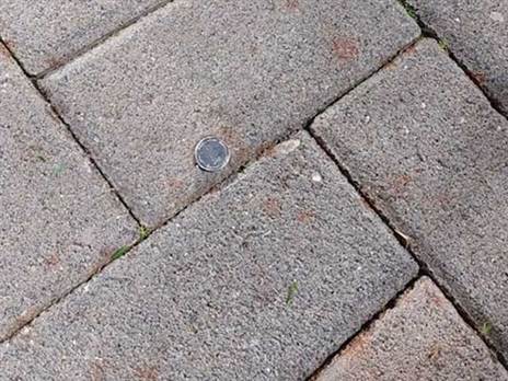 המטבע שנזרק ופגע בראשו של שרי