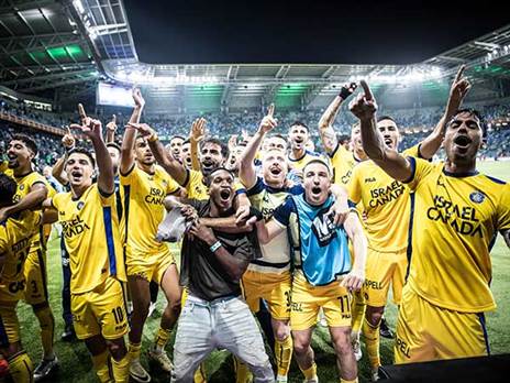 בועטים לעבר הנצח (אלן שיבר)