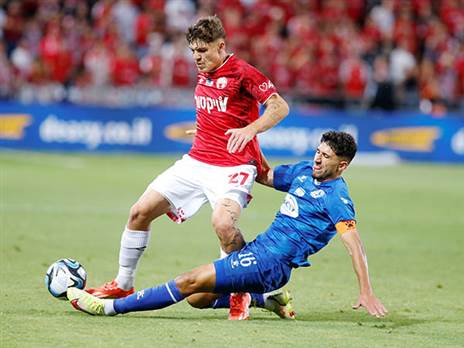 יסבו רגעי אושר בעתיד (אלן שיבר)