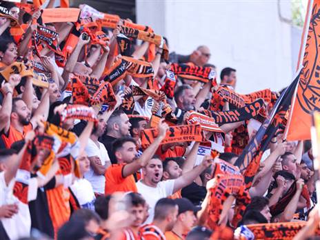 (מאור אלקסלסי)