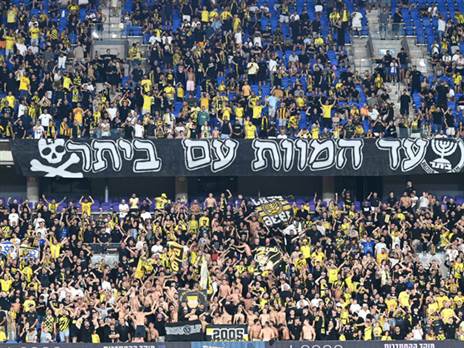 (צילום: אלן שיבר)