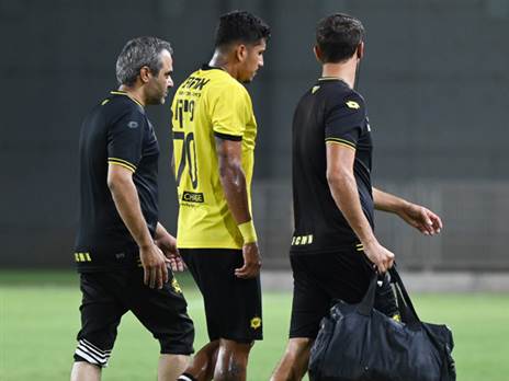 יעדר. ורגאס (אלן שיבר)