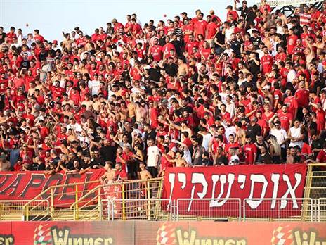 (צילום: אודי ציטיאט)