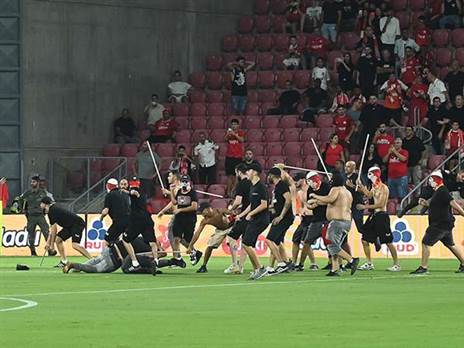 (ברני ארדוב)