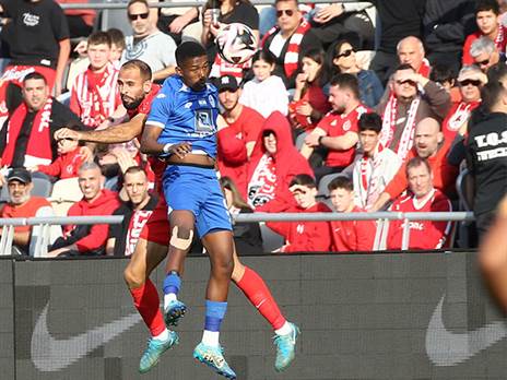 אודי ציטיאט