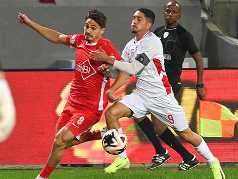 (ברני ארדוב)