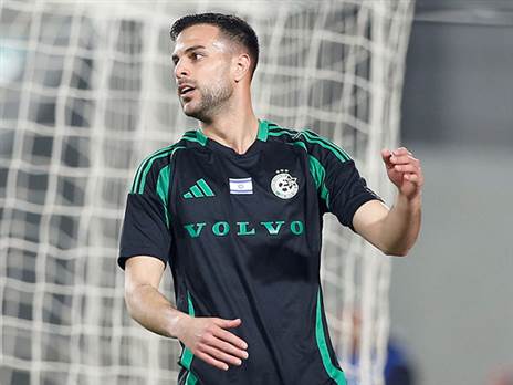 דוד: “אם לא אהיה פה, יהיו אחרים“ (אלן שיבר)