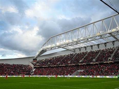 (ברני ארדוב)