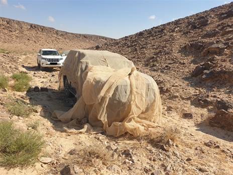 צילום: איתוראן