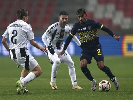 (צילום: אלן שיבר)