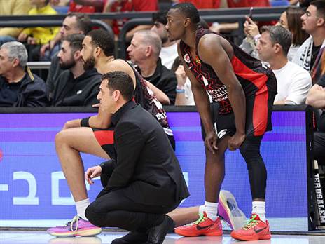 (צילום: אלן שיבר)