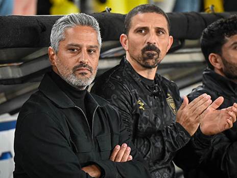 (ברני ארדוב)