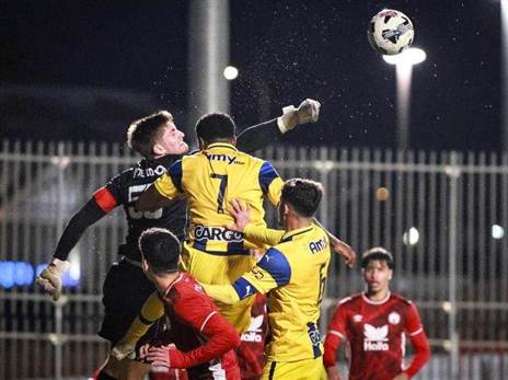 (אתר מכבי תל אביב)