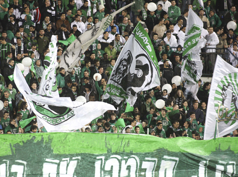 תביאו את הפועל. מכבי חיפה לא עוצרת (אלן שיבר)