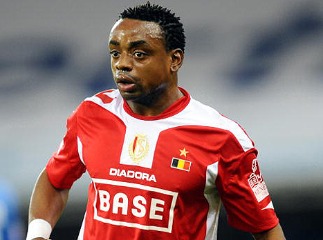 ברוך הבא לטדי. מולמו