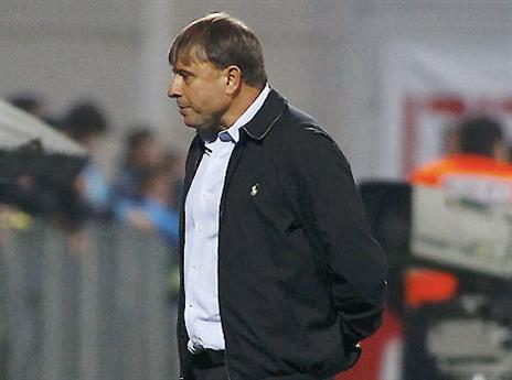 אלישע לוי. עומד בקצב של הצהובים (אלן שיבר)