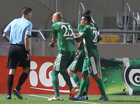 הירוקים מתלוננים, אבל ארז פפיר צדק (אלן שיבר)