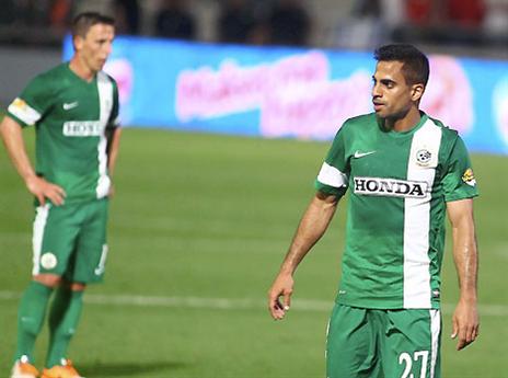 משומר ובוקולי המומים (אלן שיבר)