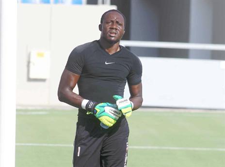 ראה רק צהוב. איינוגבה (אלן שיבר)