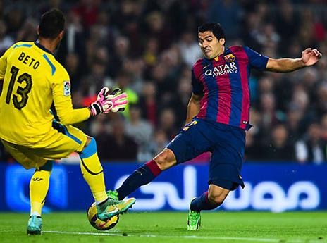 והרבה להחמיץ (gettyimages)