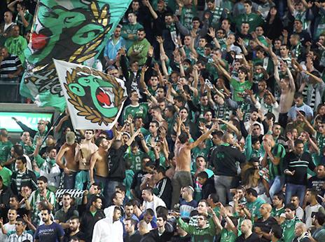 ייצבעו את בלומפילד בירוק? (צילום: אלן שיבר)