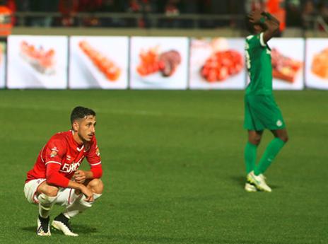 אבל המשימה נראית די בלתי אפשרית (צילום: אלן שיבר)