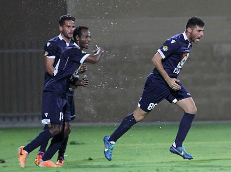 צמח חוגג. לא מודאג