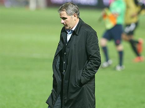 סגל חסר. גוטמן (אלן שיבר)