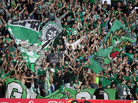 עוד עימות עם בניון. אוהדי חיפה (אלן שיבר)