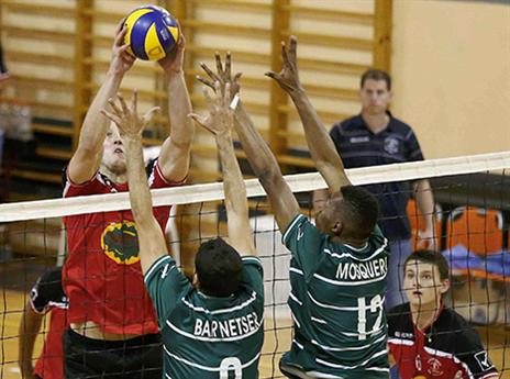 סוקולוב עם עוד מהלך נהדר (אלן שיבר)