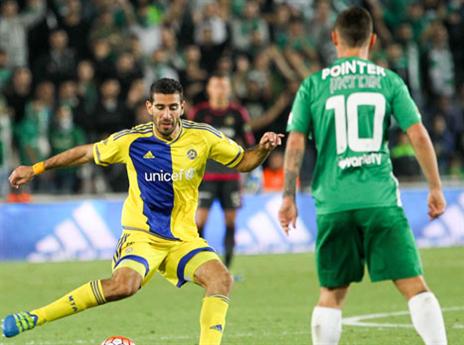 מאבק חם בטדי (דני מרון)