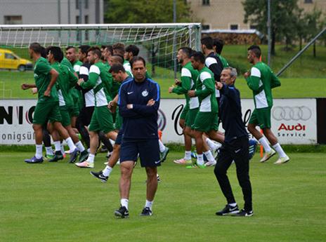 הירוקים באוסטריה (האתר הרשמי)