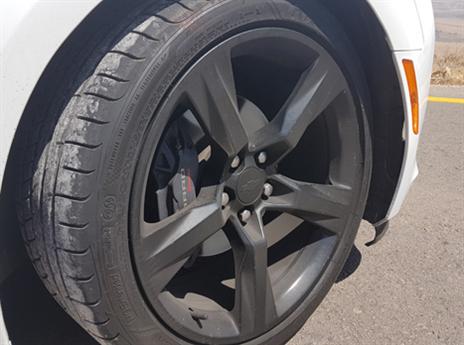 מוטוריקה שקוראת תיגר על חזירי בר (צילום: כפיר כשריאן)