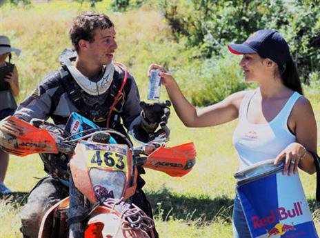 גב סלע (צילום: אייל מור)