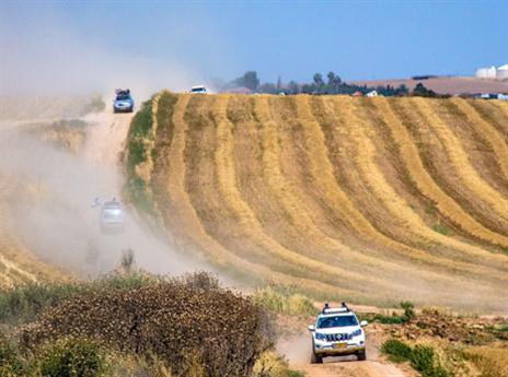 (צילום: יניב טל)