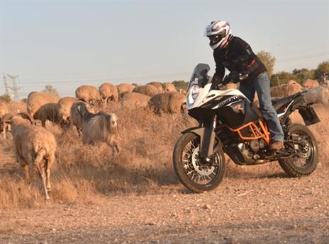 (צילום: אסף רחמים)