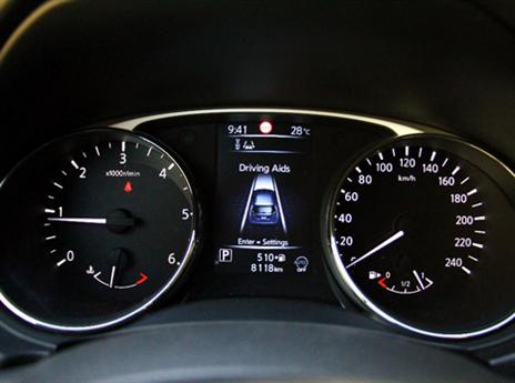 (צילום: אופיר דואק)