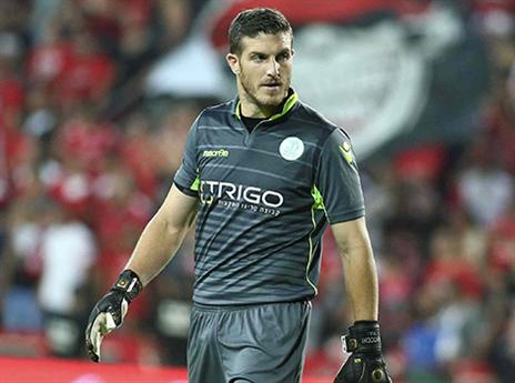 האלטרנטיבה לפלטהאוזן. קדוש (אלן שיבר)