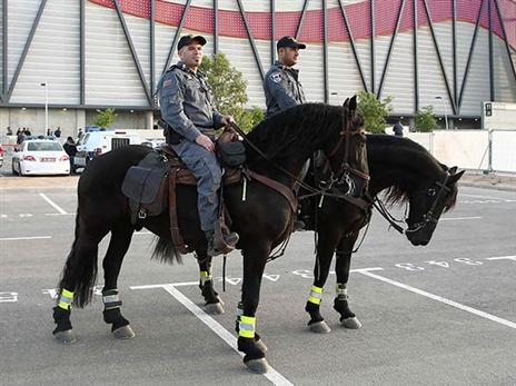 שוטרים במגרש. ביחידה למניעת אלימות בספורט יקבלו סמכויות נרחבות (אלן שיבר)