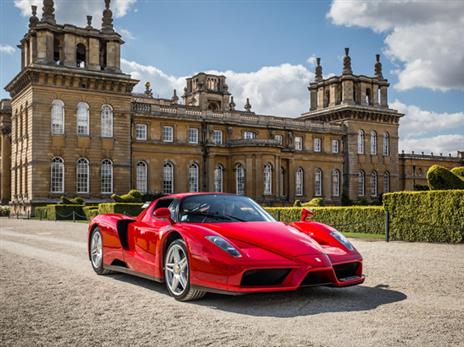 פרארי אנזו (צילום: יצרן)