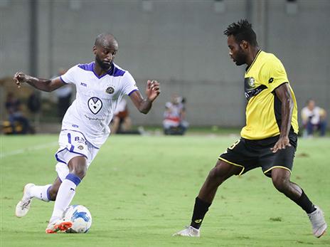 דסה. הקהל הצהוב רוצה שיישאר (דני מרון)