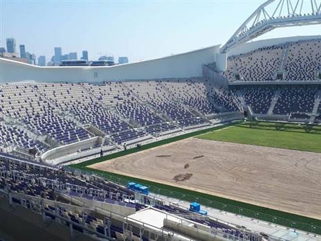 (צילום: שירי אלג'ם)