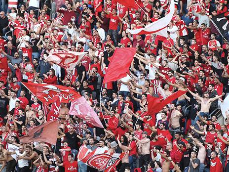 לא שקט בהפועל ת"א (אלן שיבר)