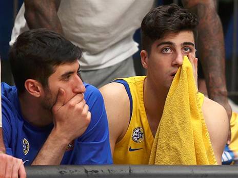 עוד תואר הלך (אלן שיבר)