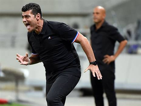 (ברני ארדוב)